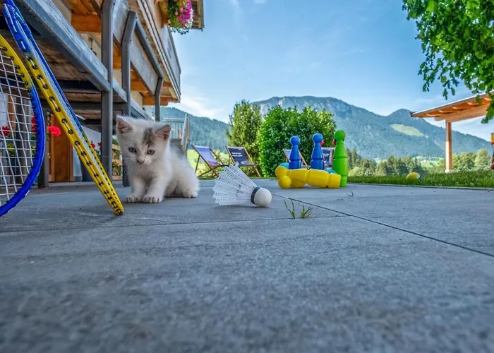 Kraftplatz Am Litzlhof *